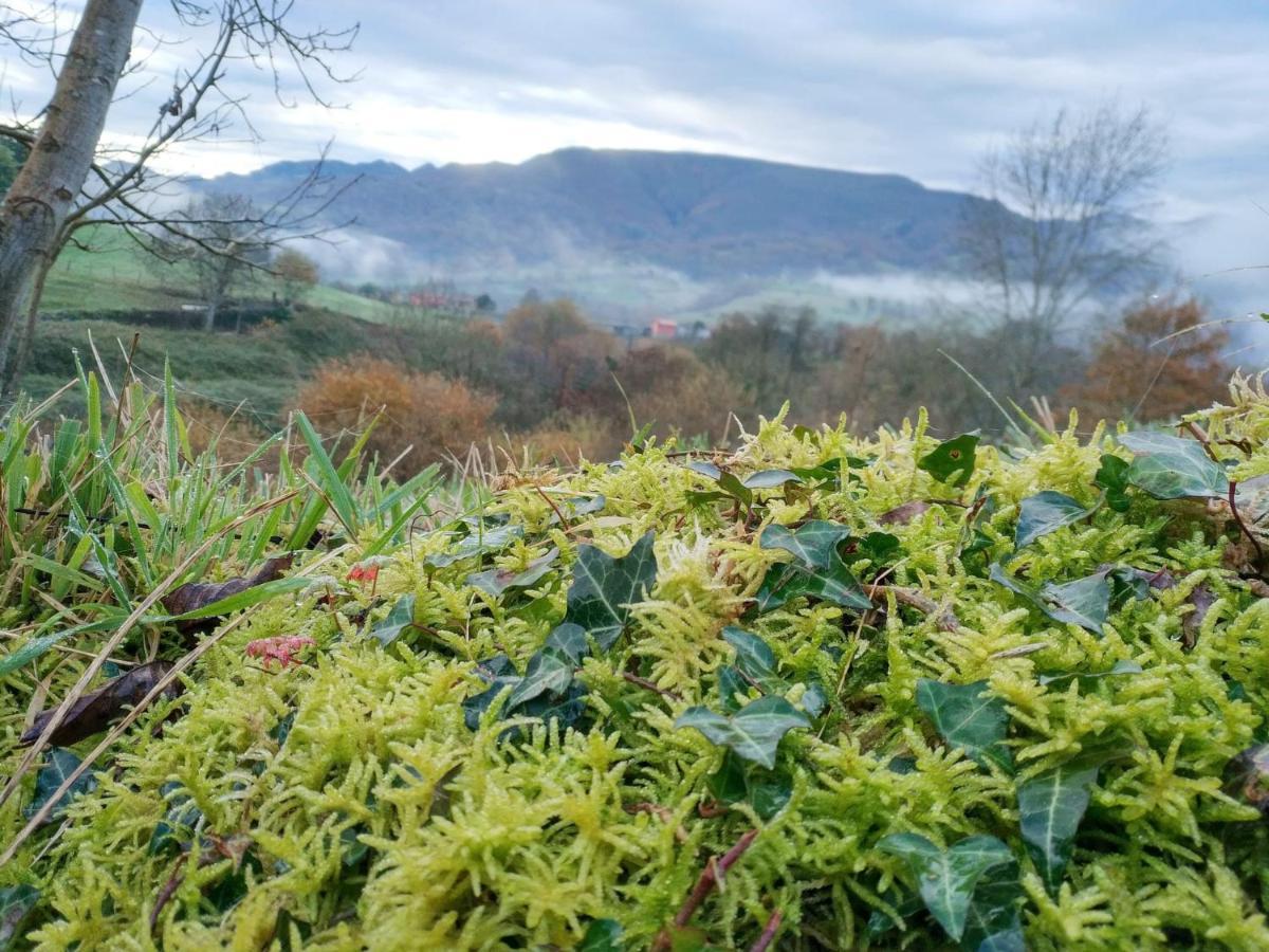 El Balcon Del Horreo Villa Piloña Dış mekan fotoğraf